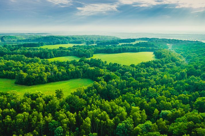 La energía que necesita el planeta